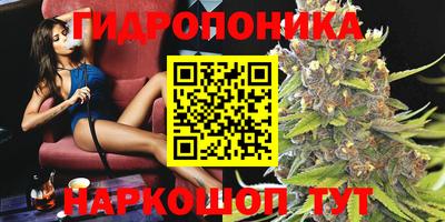 молекула духа Обь