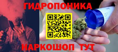 молекула духа Обь