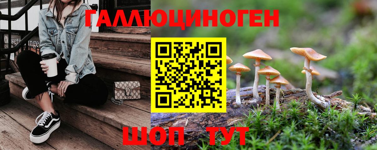 где найти наркотики  Вход с VPN  Спасск-Дальний  Галлюциногенные грибы мухоморы 